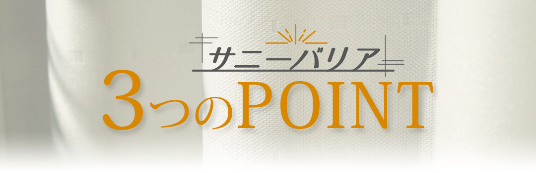 ˡХꥢ3ĤPOINT