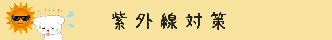 UVåȥ졼ƥ